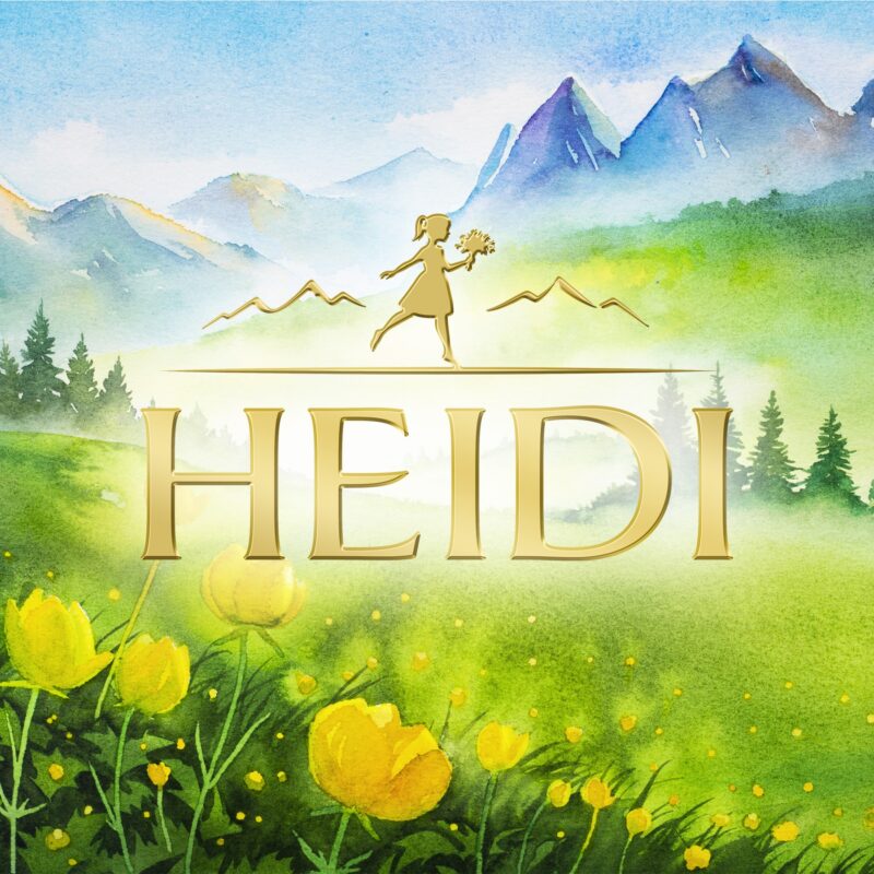 heidi colorful logo